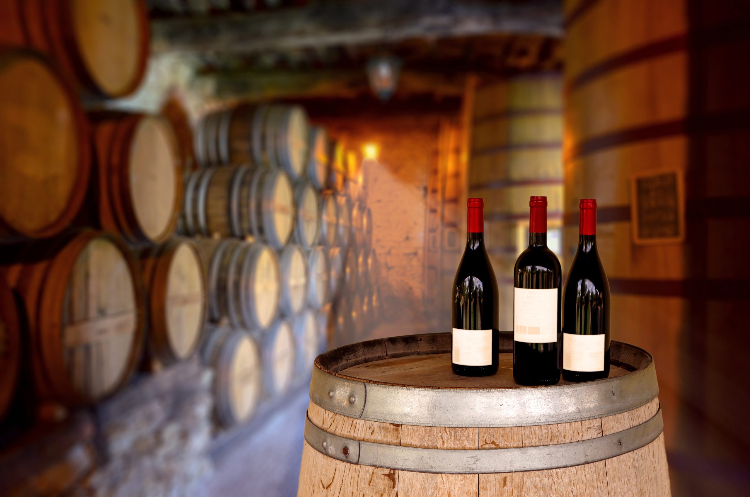 Red,Wine,Tasting,In,An,Old,Wine,Cellar,With,Wooden